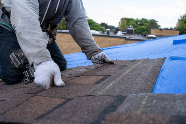 Quick and Trustworthy Emergency Roof Repair Services in Hernando Beach, FL