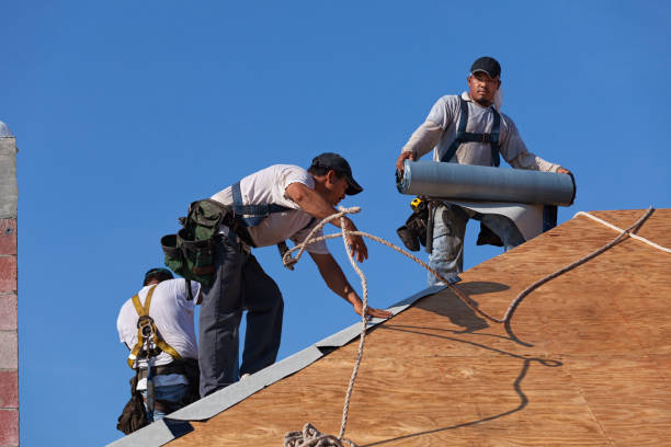 Best Shingle Roofing Installation  in Hernando Beach, FL